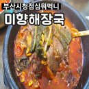 부산 시청 맛집 미향해장국 내돈내산 점심 후기