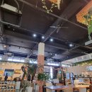 대궐오토캠핑장 이미지