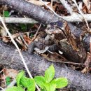 산골이야기 이미지