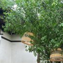 방이종로약국 이미지