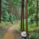 무진장축협 하나로마트 이미지