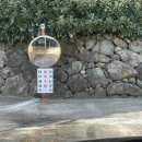 초록셀프세차 이미지