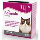 프라임 동물의료센터 | [강동 동물병원] 고양이 솔렌시아 주사 -프라임 동물의료센터