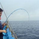 산과 바다 주문진리조트 이미지