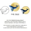 반여페인트 이미지