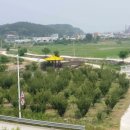 도장골천 이미지