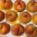 미당농장 이미지