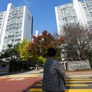 강남구 50억 넘는 고가 아파트 거래 잇따라 2025.11.3. 한경外 이미지