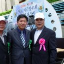 비금향