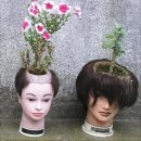 이미지원