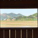 동읍688 | [창원 주남저수지 산책 후기] 반려견과 걷기 좋은 자연 산책로｜주차·창원 가볼 만한 곳