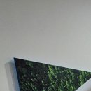 동래손치과의원 이미지