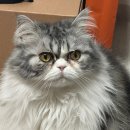 안경매니져용산점 | 3월은 봄이 아니었던가요 26년 3월 첫째주