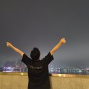 씨크루즈호텔속초 이미지