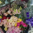 홍성화원 이미지