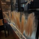 보리수한약국 이미지