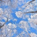 향백 - 동작구 국사봉1길 108 | 향백