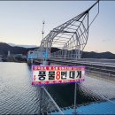 풍물8호