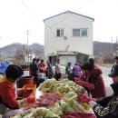 디엔에이치 이미지