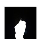 임자 전장포 새우젓토굴 이미지