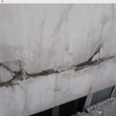 자이팜약국 이미지