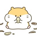 연서동물종합병원
