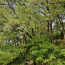 보훈농장 이미지