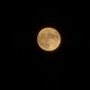세종호수공원 제1주차장 이미지