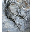 용강2리 | 한국과 중국.일본 땅은 육지로 연결되어 있었다 (한국사 공부방683)