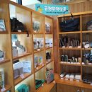 대손협동조합 이미지