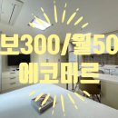 제주드림공인중개사사무소 이미지