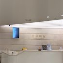 야탑로65번길 | 임신 15주차 분당차여성병원 초음파, 신경관결손 검사, 철분제 섭취 시작