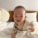 혼둘제아 이미지