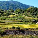 지리산마천흑돼지촌 음식특화거리 이미지