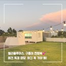 강아지공간 | “인천 영종도 강아지 독채 마당 멜리플루어스 후기｜구름이 최애 공간”