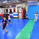 그린태권도 이미지