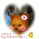 곰도링