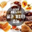 계피와 꿀의 효능 이미지