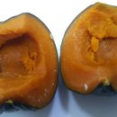 해남 밤단호박~~~ 이미지