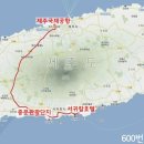 대중교통으로 제주대회 갔다오기 이미지