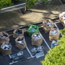 동구청로 이미지