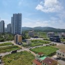 다온공인행정사 이미지