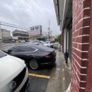 양지-3366 이미지