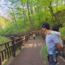 호호아이 이미지