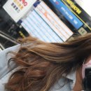 세진카클리닉 | 세종시 미용실 / 나성동 미용실 / 차이헤어