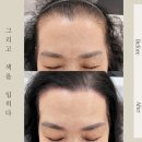 그리고색을입히다