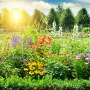 자연과 공간 이미지