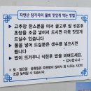 포항세꼬시 이미지