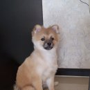 신준연 이미지