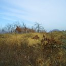 산꼭대기올라가 이미지